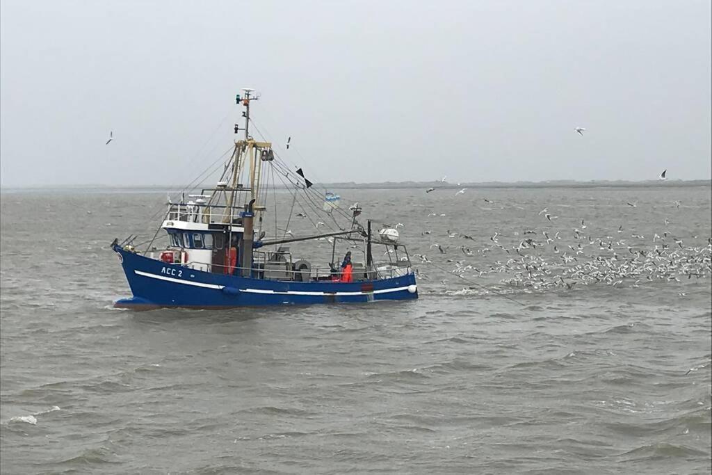 Nordsee Ferienwohnung Fuer 2 Personen ชิลลิคช์ ภายนอก รูปภาพ
